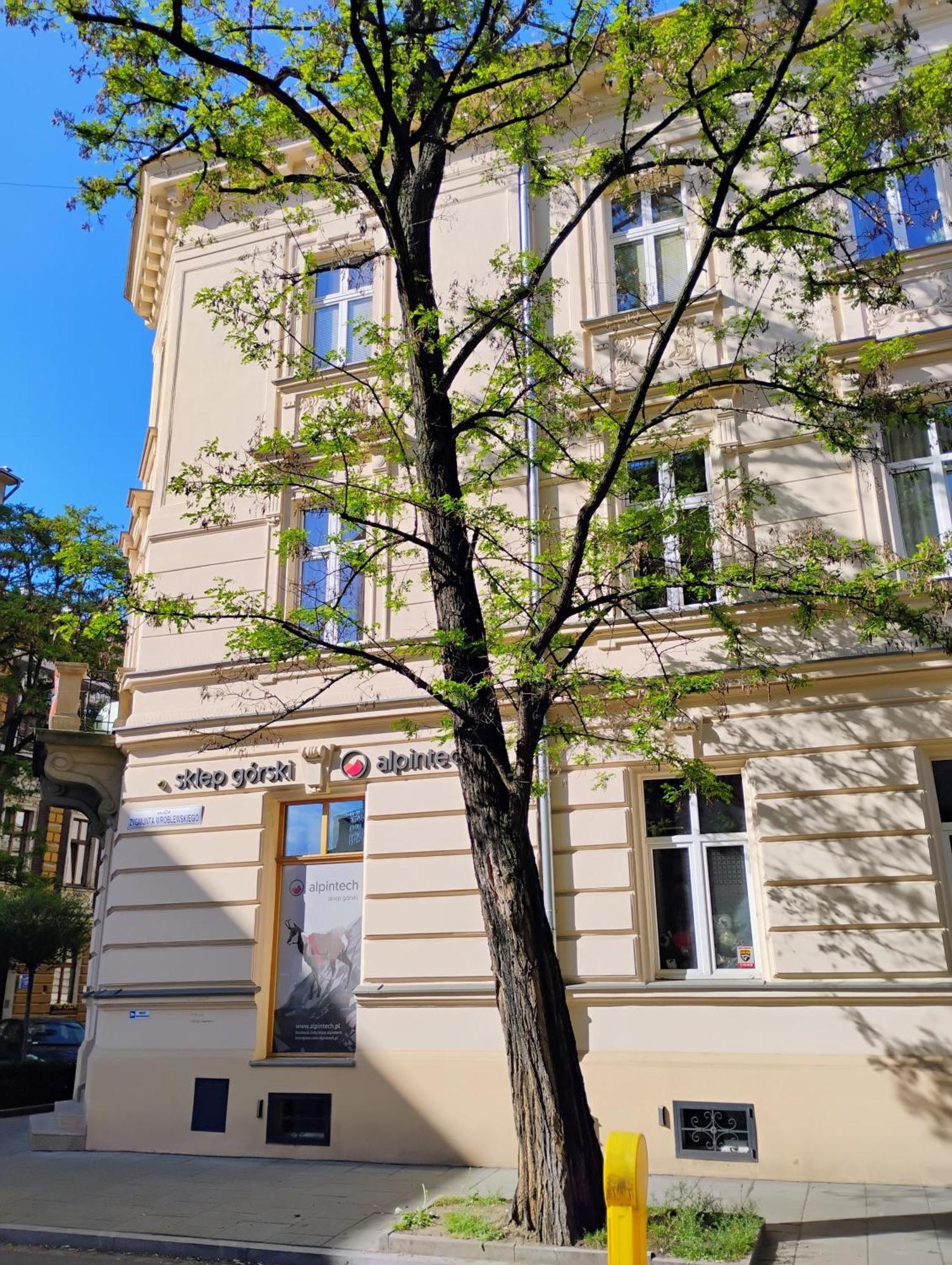 Apartament Rozy Kraków Exteriör bild